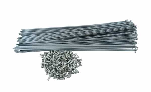 Спица 300 мм 14G серебристая 1шт.